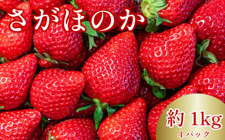 いちご さがほのか 4パック ( 280g × 4 ) 苺 いちご いちご イチゴ
