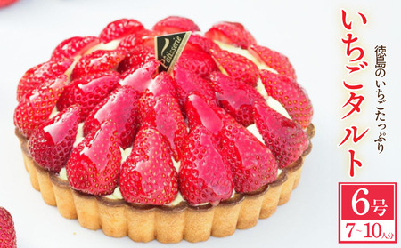 日時指定可 いちごタルト 6号 ケーキ