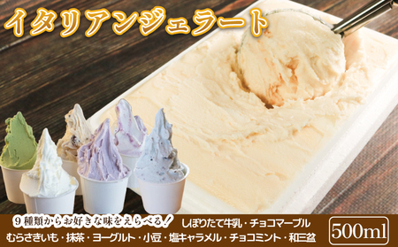 ジェラート イタリアンジェラート 500ml 選べるフレーバー 1種