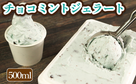ジェラート イタリアンジェラート チョコミント 500ml
