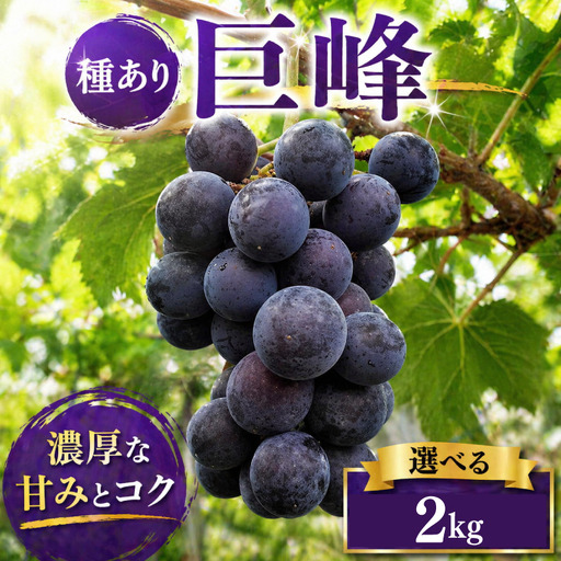 ぶどう 巨峰 種あり 2kg 巨峰