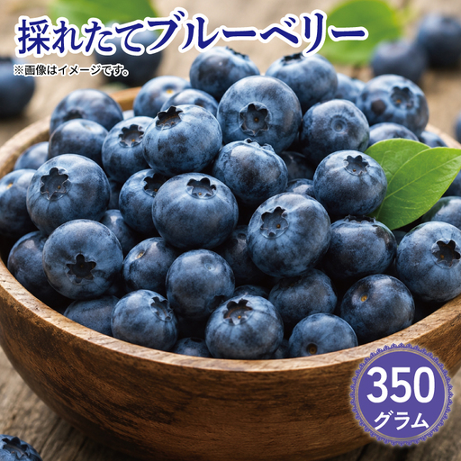 ブルーベリー 350g 大粒 [ ブルーベリー ]