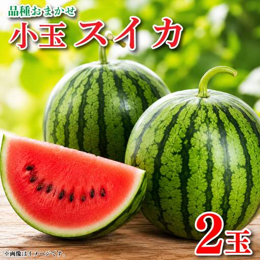 すいか 小玉スイカ 2玉 すいか
