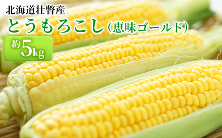 2026N8{菇͂kCsˎY Ƃ낱ibS[hj5kg y ӂ邳Ɣ[ lC  LO kC s s\ Ƃ낱 gERV  Ƃ