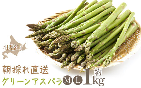 2026N5E{肨͂kCsˎYut@[Rv̂꒼@O[AXp1kgilELj y ӂ邳Ɣ[ lC  LO AXp ς  kC