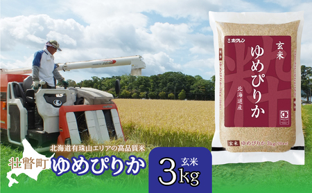 [令和7年産](玄米3kg)ホクレンゆめぴりか [ ふるさと納税 人気 おすすめ ランキング 北海道産 壮瞥 玄米 米 ゆめぴりか 炊き込みご飯 おにぎり おむすび こめ 贈り物 贈物 贈答 ギフト 大容量 詰合せ セット 北海道 壮瞥町 送料無料 ]