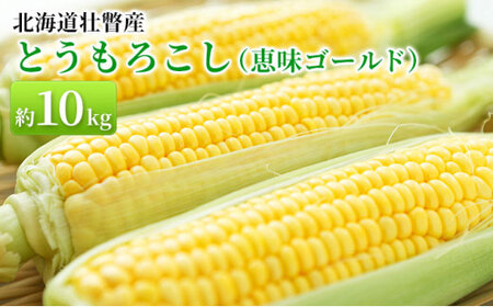 2026N8{菇͂kCsˎY Ƃ낱ibS[hj10kg y ӂ邳Ɣ[ lC  LO kC s s\ Ƃ낱 gERV R[ 