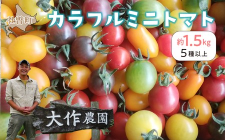 [2024年7月上旬よりお届け]北海道壮瞥産 大作農園のカラフルミニトマト約1.5kg(5種以上) [ ふるさと納税 人気 おすすめ ランキング トマト とまと ミニトマト アイコ 野菜 おいしい 大容量 北海道 壮瞥町 送料無料 ]