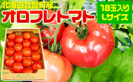 2026N3{菇͂kCsˎY Itg}g18ʓiLTCYj y ӂ邳Ɣ[ lC  LO kC s Itg}g  g}g Yn  { {