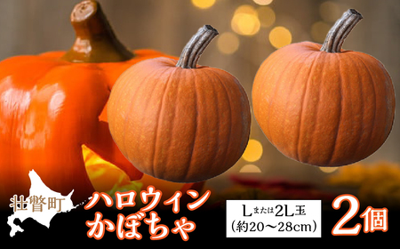 [2026年10月初旬よりお届け]ハロウィンかぼちゃ Lまたは2Lサイズ玉2個 [ ふるさと納税 人気 おすすめ ランキング かぼちゃ カボチャ 南瓜 野菜 ハロウィーン ハロウィン おばけ ランタン 北海道 壮瞥町 送料無料 ]