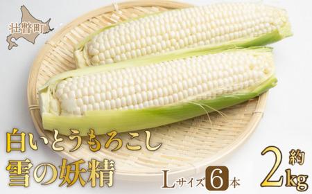 ＜2025年9月上旬よりお届け＞【朝採り】北海道壮瞥産 白いとうもろこし「雪の妖精」Lサイズ6本(約2kg) 【 ふるさと納税 人気 おすすめ ランキング ホワイトコーン 雪の妖精 白い 白 トウモロコシ とうもろこし 野菜 甘い 北海道 壮瞥町 送料無料 】 SBTQ005