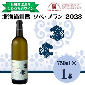 北海道壮瞥産 ソペ・ブラン2023(辛口白ワイン) 750ml