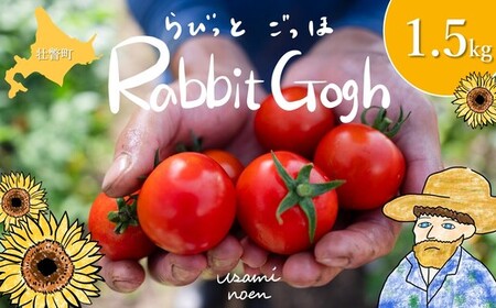 kCs˒Y rbgSbz1.5kg ʃg}g SBTAJ002