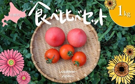 北海道壮瞥町産 トマト食べ比べ2種セット1kg(ラビットゴッホ&ルネッサンス) SB