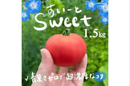 �y2026�N�\��z�Ɏ|�g�}�g�N�[���� �k�C���s�˒��Y �X�C�[�g1kg ���ʃg�}�g SBTAJ016