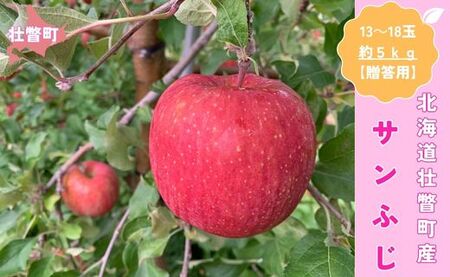 11{肨͂kCsˎY Tӂ 5kg(13`18)ypz SBTK016