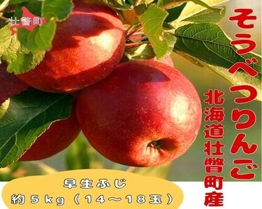 ファームアグリエイトのりんご「早生ふじ」 約5kg(14〜18玉)