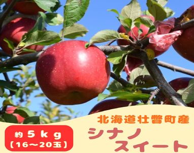 t@[AOGCĝ񂲁uVimXC[gv 5kgi16`20ʁj SBTB013