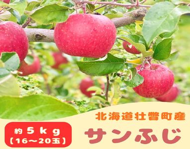 t@[AOGCĝ񂲁uTӂv5kgi16`20ʁj SBTB015