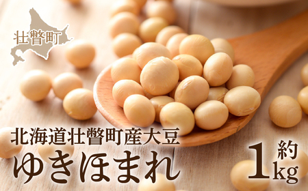 北海道壮瞥町産大豆 ゆきほまれ 約1kg