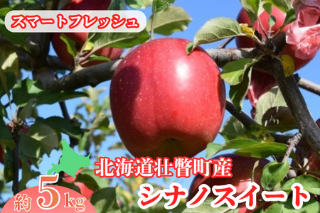 3・4月発送!ファームアグリエイトのシナノスイート約5kg(18〜20玉)[スマートフレッシュ]S