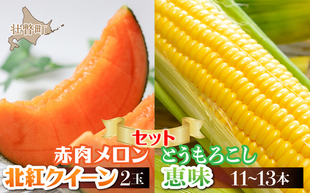 [2026年8月お届け]赤肉メロン2玉ととうもろこし(恵味)11〜13本のセット