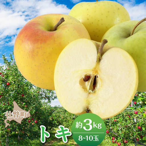 [先行予約][2026年10月中旬よりお届け]北海道壮瞥町 りんご 品種名「トキ」8〜10玉約3kg