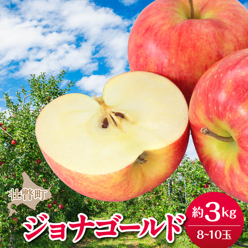 [先行予約][2026年10月下旬よりお届け]北海道壮瞥町 りんご 品種名「ジョナゴールド」8〜10玉約3kg
