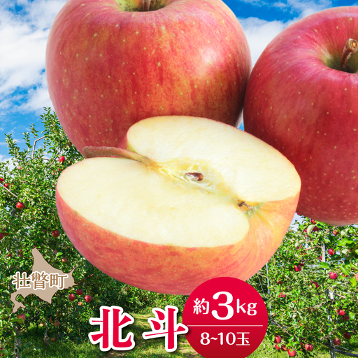 [先行予約][2026年11月中旬よりお届け]北海道壮瞥町 りんご 品種名「北斗」8〜10玉約3kg