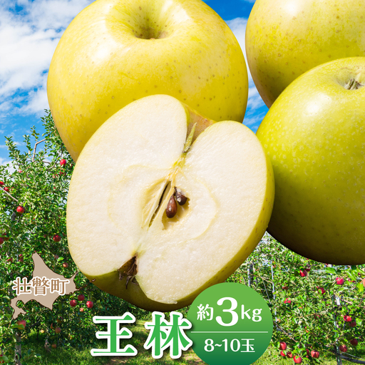 [先行予約][2026年11月中旬よりお届け]北海道壮瞥町 りんご 品種名「王林」8〜10玉約3kg