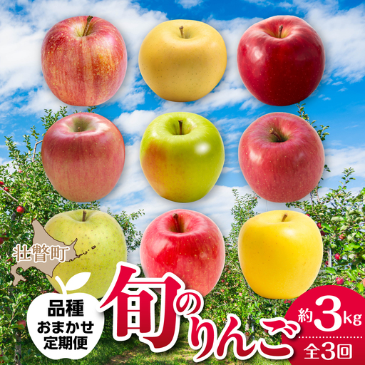 [先行予約][10･11･12月お届け]北海道壮瞥町 旬のりんご約3kg おまかせ定期便