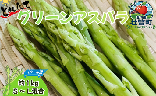 [4月より順次配送]グリーンアスパラ 約1kg(S-L混合) 北海道壮瞥町産