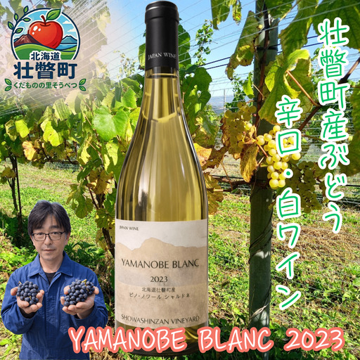 昭和新山ワイン YAMANOBE BLANC 2023(ヤマノベブラン)白ワイン 辛口 750ml 1本