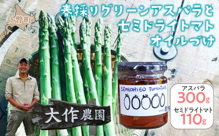 2026N4{肨͂kCsˎY _́ut̂O[AXpM`LLv300gƃZ~hCg}gICЂ1ri110gj̃Zbgy ӂ邳Ɣ[ lC  L