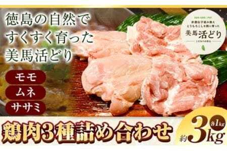 鶏肉 3kg モモ ムネ ササミ 詰め合わせ かねひ活鳥[30日以内に出荷予定(土日祝除く)]│ [30日以内に出荷予定(土日祝除く)]│鶏肉