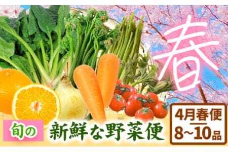 [先行予約]旬の新鮮な 野菜便 4月春便 8〜10品 アグリサポート美馬[2026年4月上旬-4月末頃出荷]春野菜 ふき わらび うど こしあぶら(山の山菜) 新玉ネギ ほうれん草 ミニトマト 人参 八朔 野菜 青果物 送料無料 徳島県 美馬市