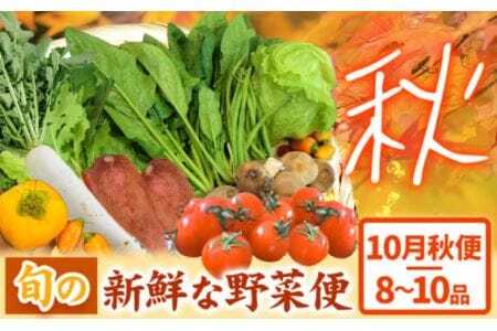 [ 先行予約 ] 旬の新鮮な 野菜便 10月秋便 8〜10品 アグリサポート美馬[10月上旬-10月末頃出荷]秋野菜 大根 かぼちゃ すだち さつまいも ブロッコリー 次郎柿 ほうれん草 ミニトマト 野菜 青果物 送料無料 徳島県 美馬市