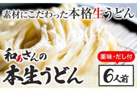 おうどんセット 6人前 [90日以内に出荷予定(土日祝除く)]和ぁさん家、株式会社栄工製作所 うどん 麺 生麺 生うどん 本格 手作り 和食 ご家庭用 こだわり お手軽 ギフト セット 薬味 だし付き 徳島県 美馬市