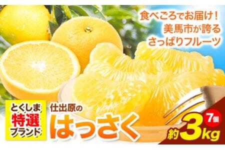 [ 先行予約 ] 八朔 はっさく 約3kg 7個 [2025年2月上旬‐2025月3月上旬頃出荷]仕出原八朔生産組合 果物 くだもの フルーツ 特選 ゼリー ジュース ピール 徳島県 美馬市