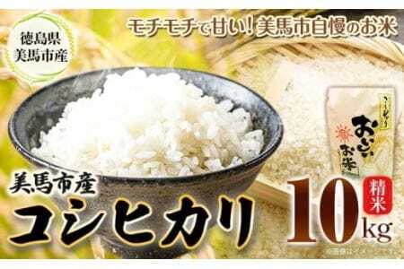 米 10kg 令和6年産 コシヒカリ[30日以内(土日祝除く)に出荷]精米10kg 美馬市産 アグリサポート美馬 コシヒカリ 米 白米 白米10kg 精米 送料無料 徳島県 美馬市