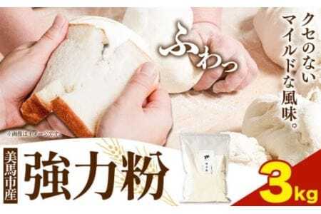 強力粉 3kg 美馬市産 《30日以内に発送予定(土日祝除く)》 実森ラボラトリー株式会社 自家製小麦のお店mimori 送料無料 徳島県 美馬市 お菓子 パン 小麦