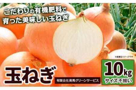 [先行予約]玉ねぎ 10kg サイズ不揃い [6月下旬‐9月上旬頃出荷]有限会社美馬グリーンサービス たまねぎ 徳島県 美馬市 送料無料 野菜