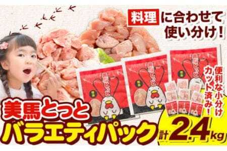 美馬とっと もも肉 むね肉 鶏ハラミ 塩だれ味 セット 計 2.4kg まるほ食品株式会社 [30日以内に出荷予定(土日祝除く)]| 鶏肉鶏肉鶏肉鶏肉鶏肉鶏肉鶏肉