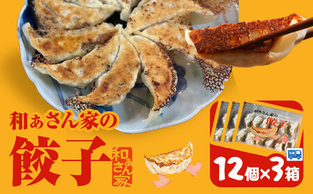 餃子 和ぁさん家の餃子3個セット 36個 和ぁさん家 株式会社栄工製作所 [30日以内に出荷予定(土日祝除く)]冷凍食品 餃子 ご家庭用 お手軽 ギフト セット 徳島県 美馬市
