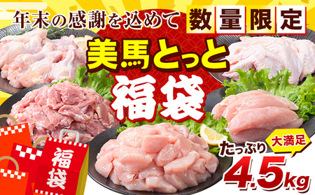 [年末限定!] 鶏肉 美馬とっと 福袋 [12月上旬-1月中旬頃出荷] 数量限定 大容量 家族用 ファミリーパック ふるさと納税 鶏肉 ふるさと納税 福袋 もも 小分け むね 小分け とり肉 ささみ 徳島県 美馬市