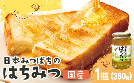日本みつばちのはちみつ 1瓶360g 正木ぶどう園[2025年9月上旬‐2026年2月下旬頃出荷]徳島県 美馬市 はちみつ 国産 蜂蜜 ハチミツ 送料無料