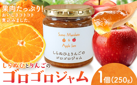 ジャム フルーツ 不知火 りんご しらぬひとりんごのゴロゴロジャム 1個 (1個250g) 有限会社美馬交流館[30日以内に出荷予定(土日祝除く)]徳島県 美馬市 送料無料 果物 果肉 ごろごろ たっぷり みかん リンゴ しらぬい デコポン
