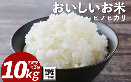 米 令和7年産 新米 定期便 10kg ×3回 ヒノヒカリ 米 こめ お米
