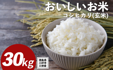 米 令和7年産 新米 30kg 玄米 コシヒカリ 米 こめ お米
