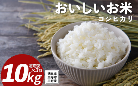 米 令和7年産 新米 定期便 10kg ×3回 コシヒカリ 米 こめ お米